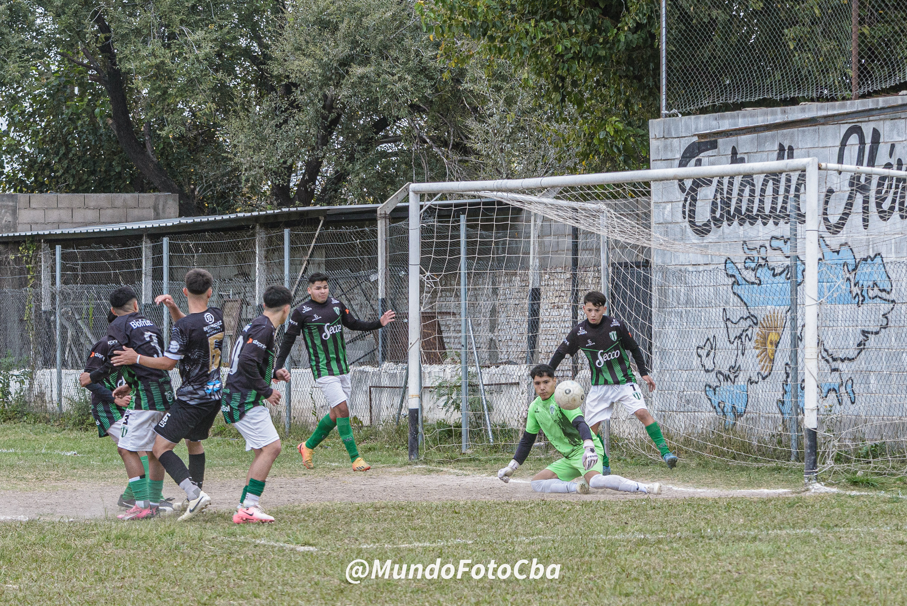 Imagen 1